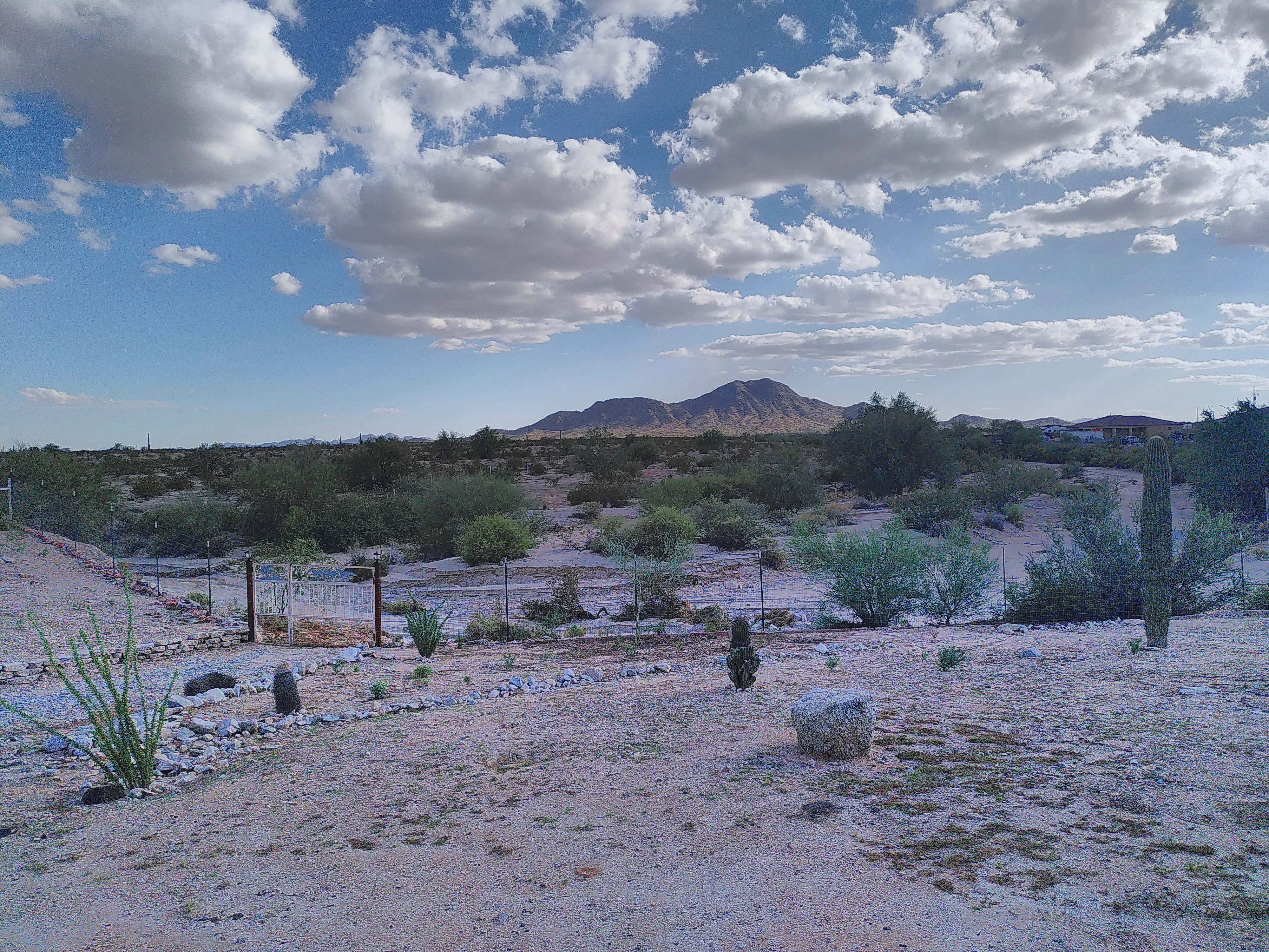 Desert stretching off into the distance, where a mountain rises up
