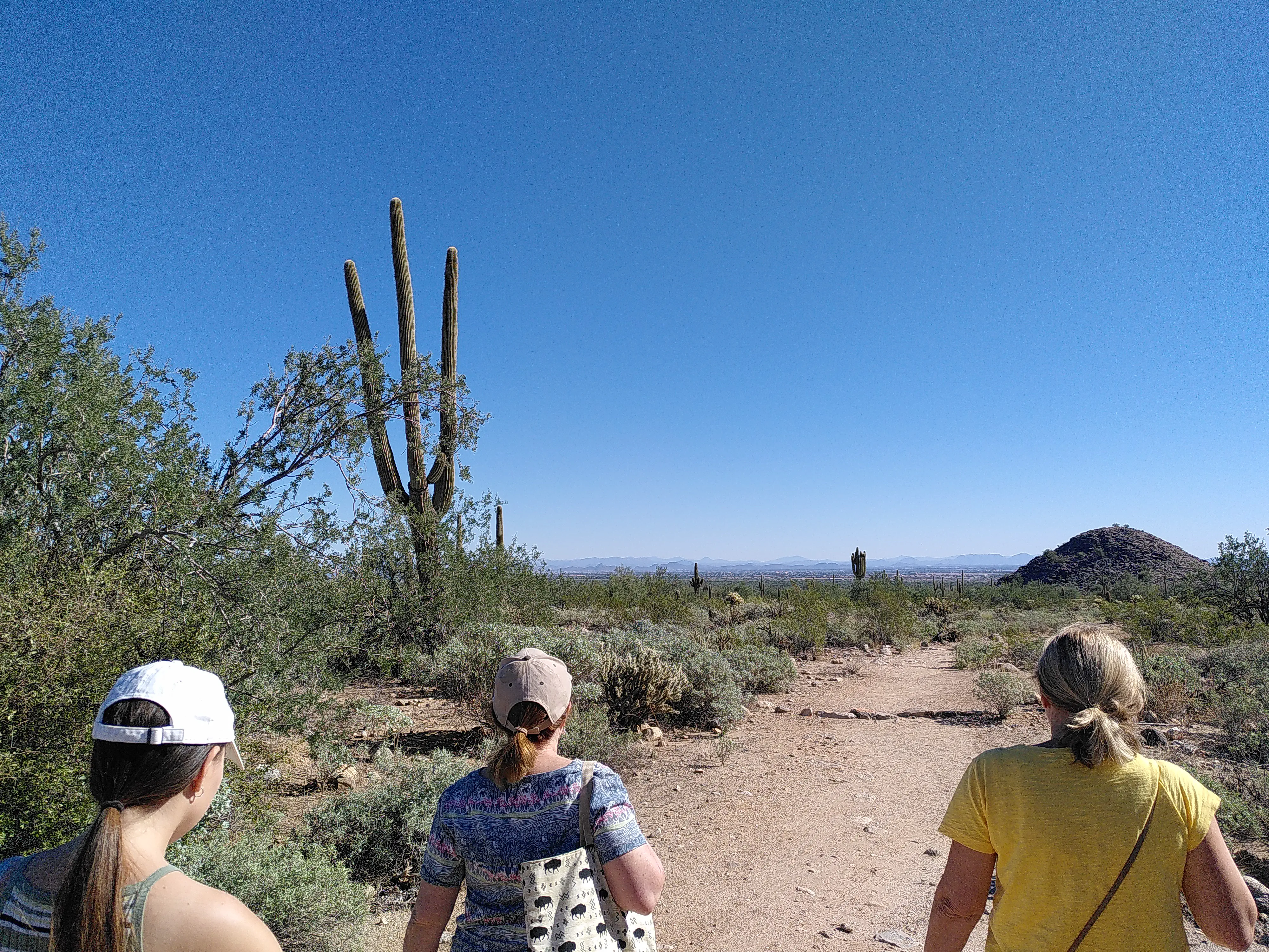 Three women walking away from the camera, the Sonoran desert before them