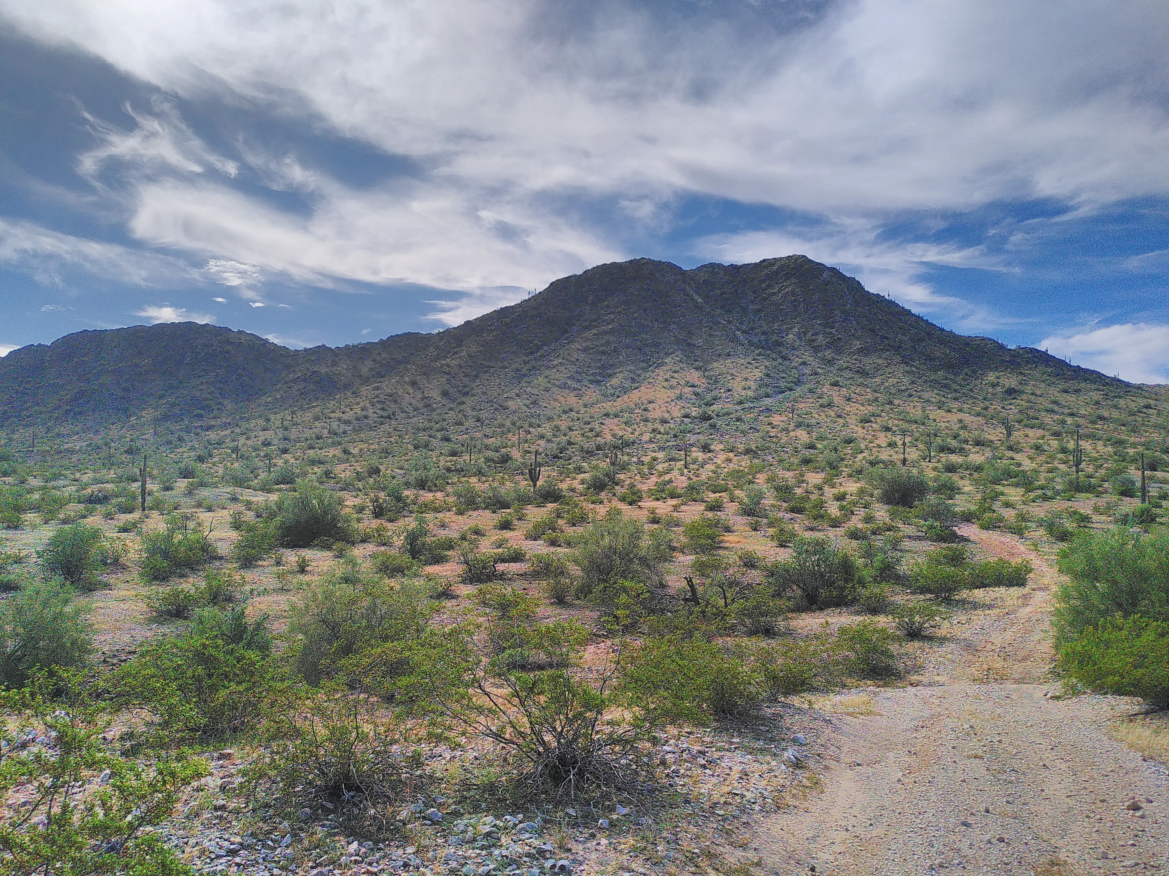 A mountain viewed from its base