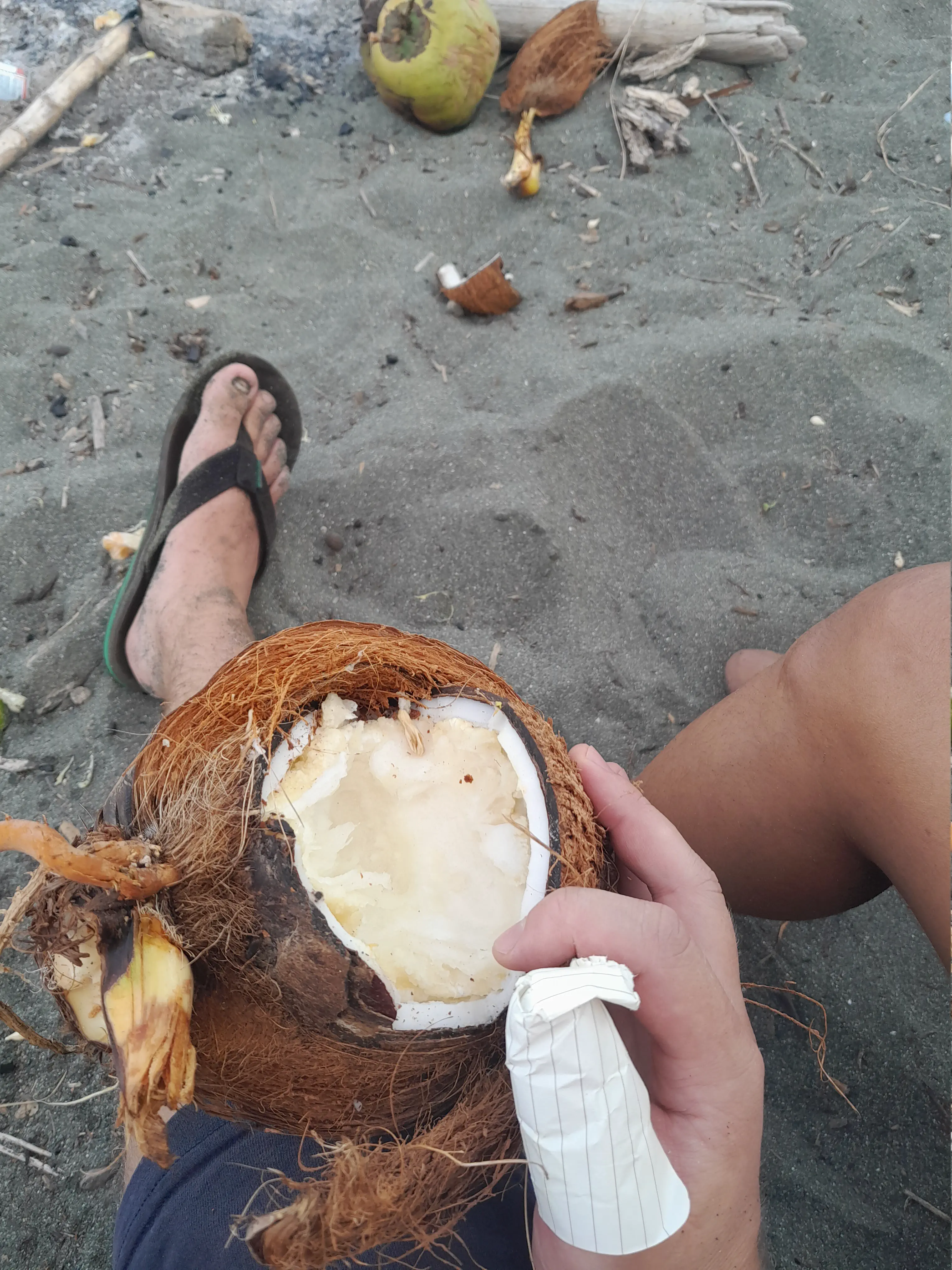A hand holding a coconut, with the thumb bandaged in notebook paper