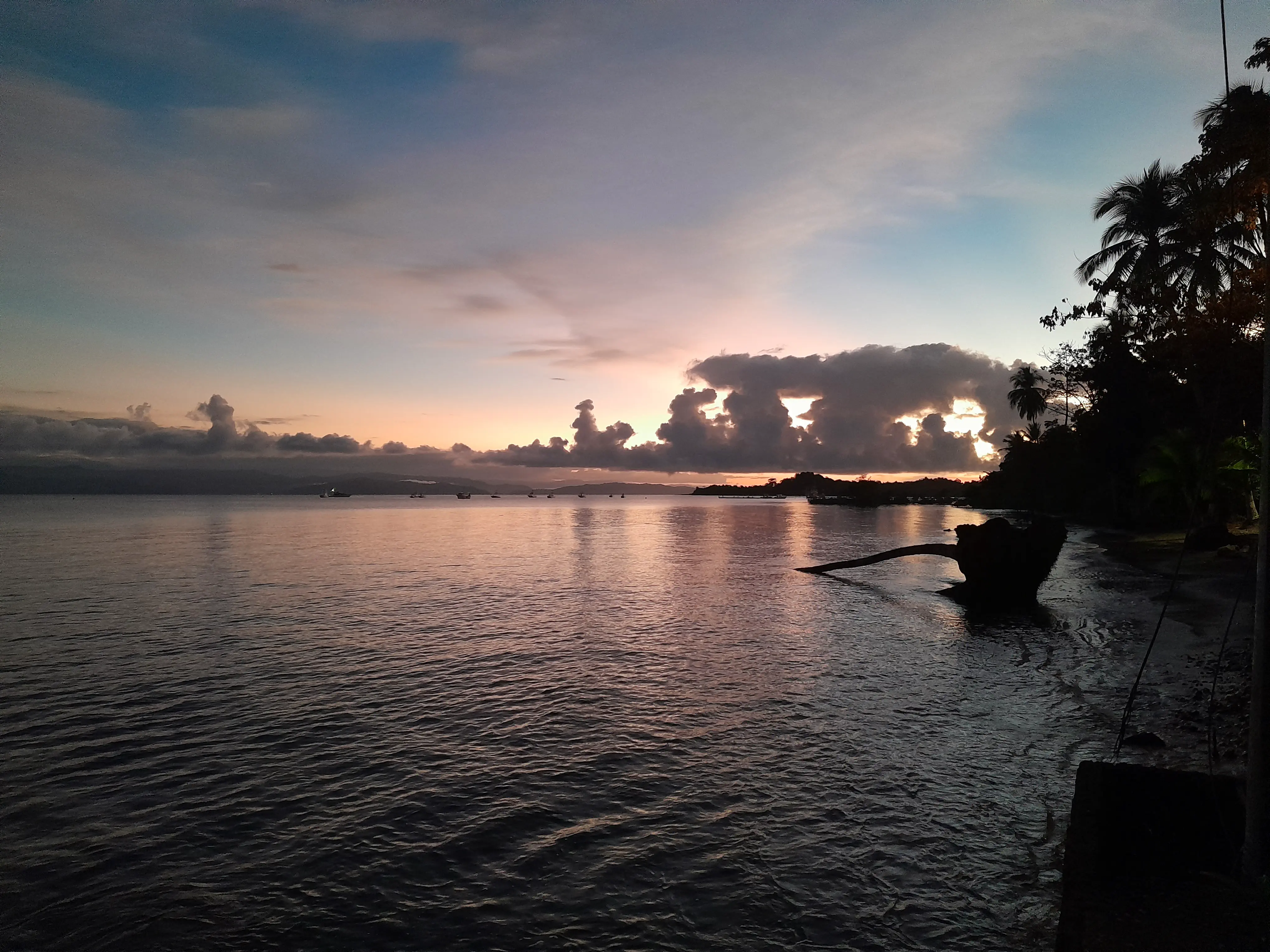 The sun rising over a beach