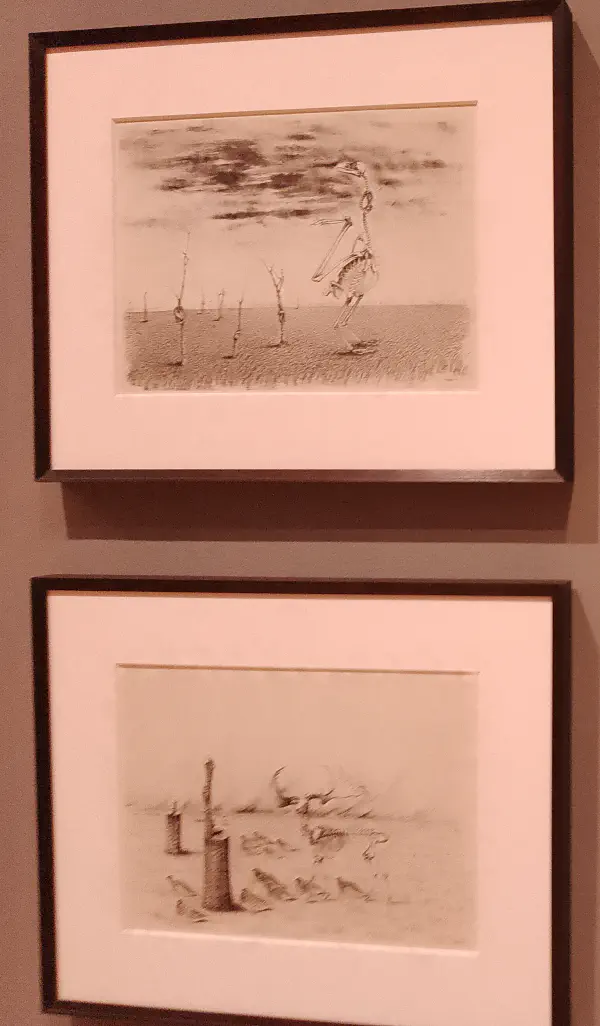 Surreal images of skeletons in desolate landscapes