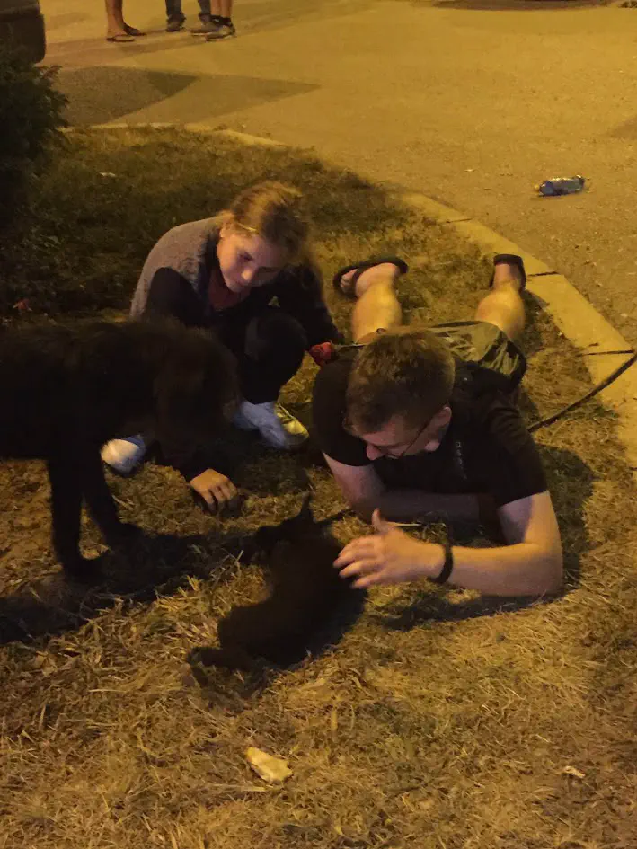 The author laying on his stomach and playing with a puppy