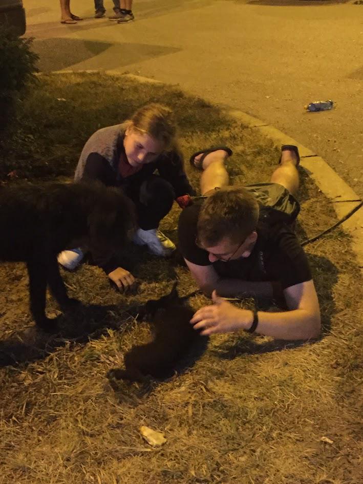 The author laying on his stomach and playing with a puppy