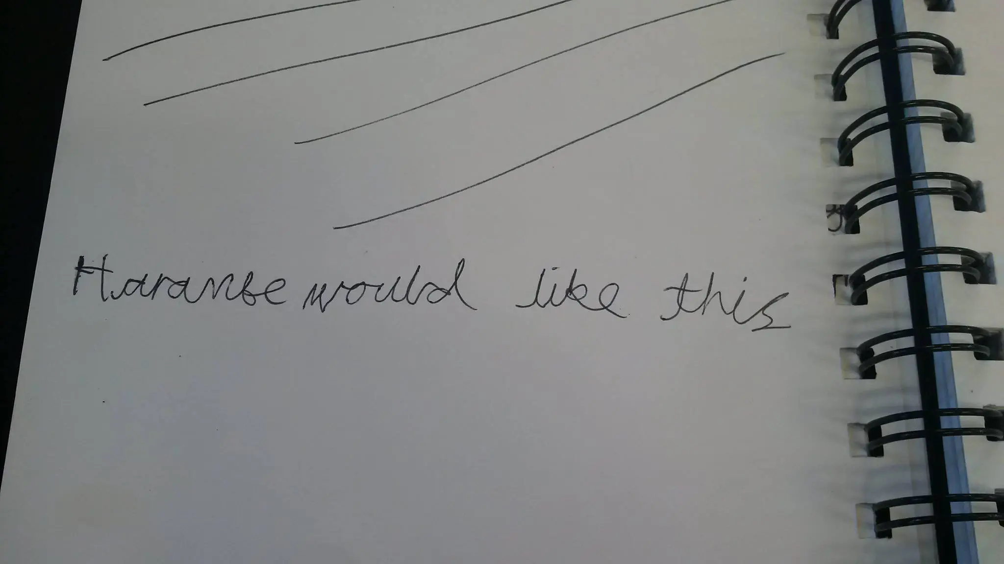 A child's entry into a logbook, reading: ‘Harambe would have liked this’