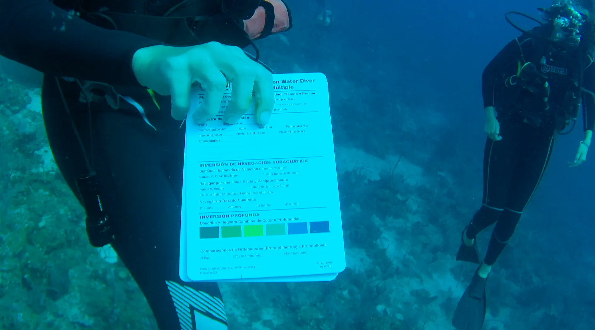 An underwater shot of a colour chart, with the red visible washed out