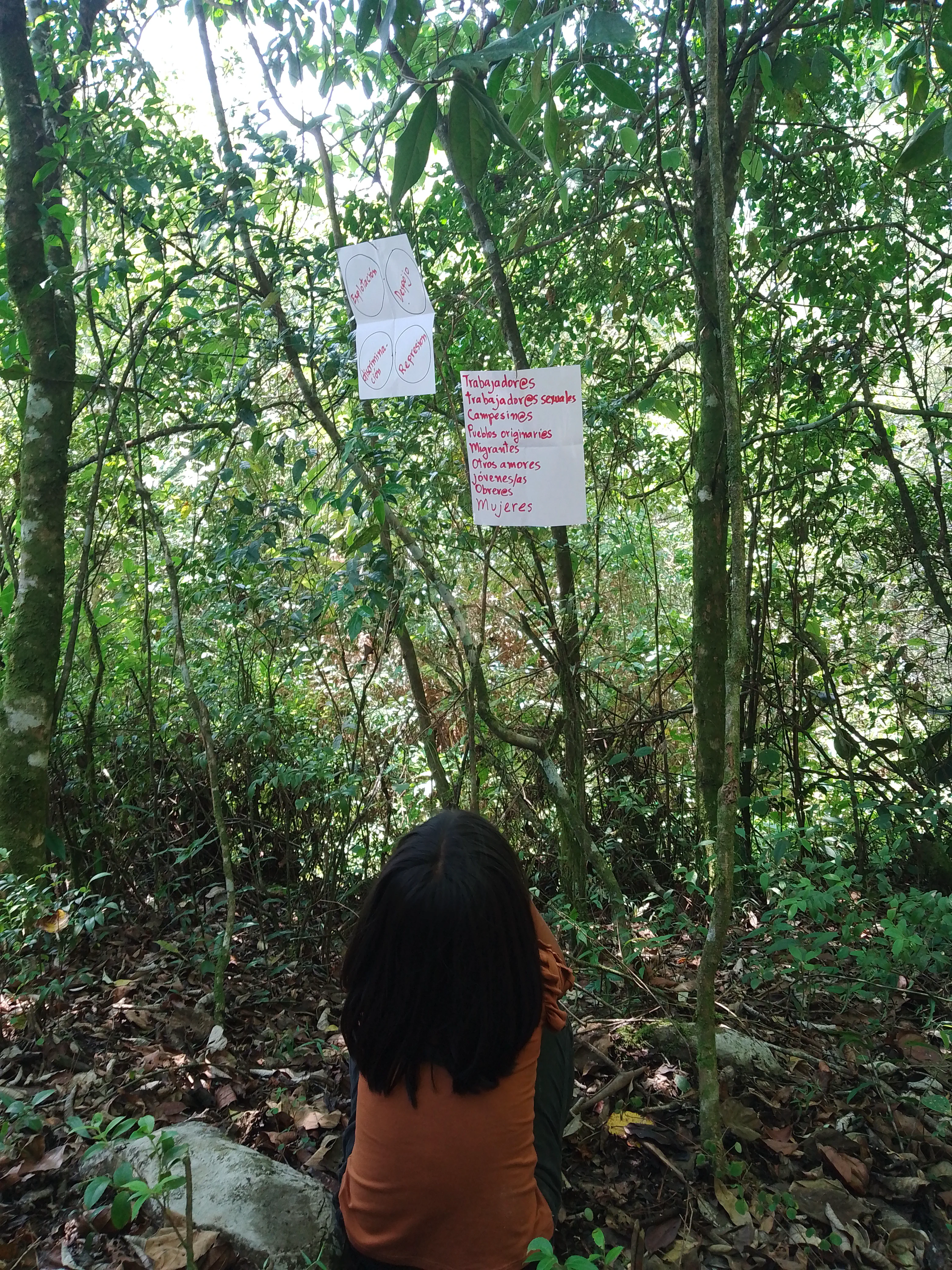 A small girl sitting in a forest and looking up at two pieces of paper handing on a branch, one listing groups such as ‘workers’, ‘peasant farmers’, etc. and one showing four circles labelled ‘exploitation’, ‘plunder’, ‘discrimination’ and ‘repression’.