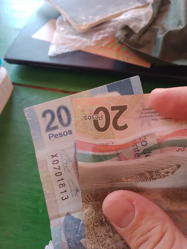 Several denominations of Mexican pesos showing different-orientation numbers