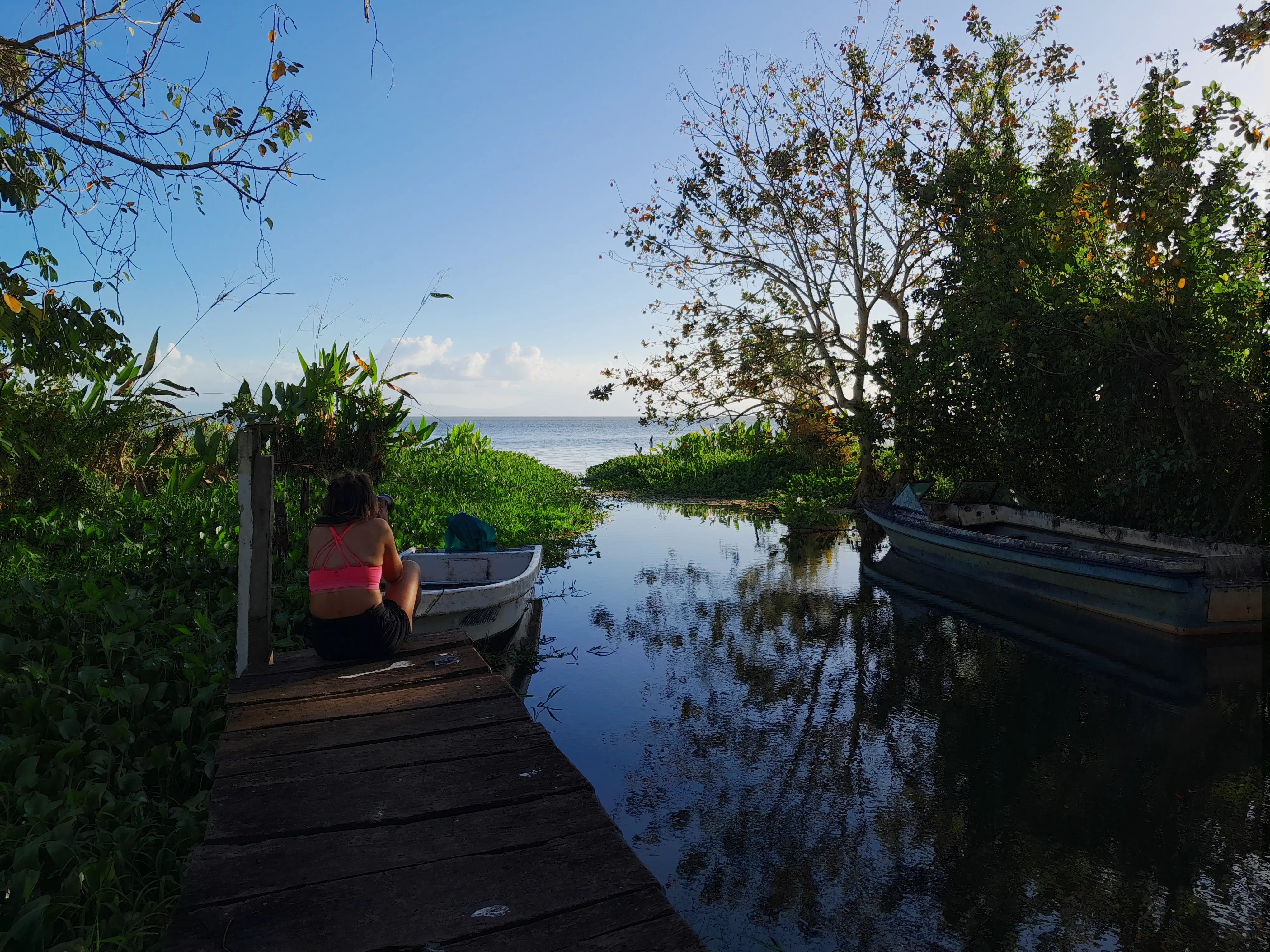 A woman sitting at the end of a pier, facing away from the camera and surrounded by foliage