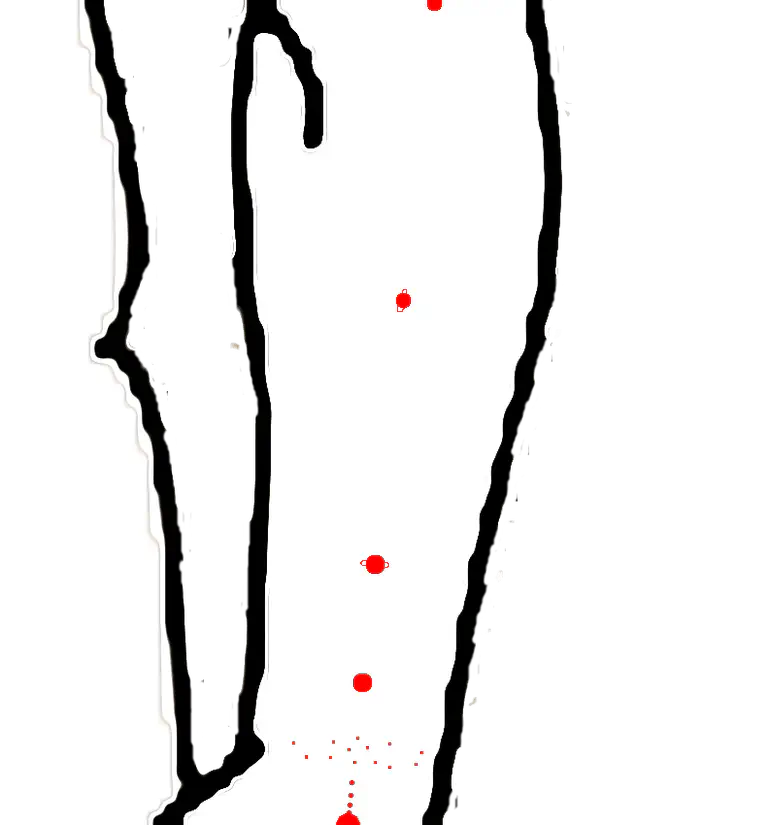 The solar system across a forearm