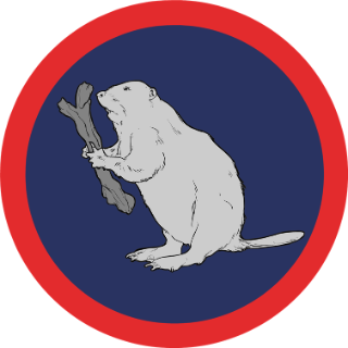 2 Operational Support Group insignia