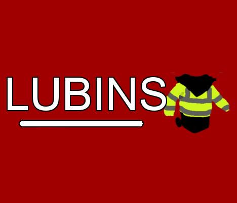 LUBINS logo