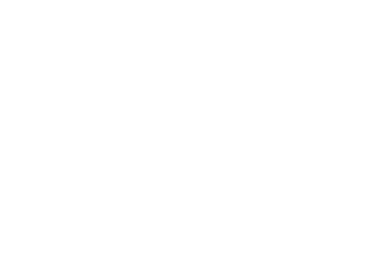 Terra Ludis logo