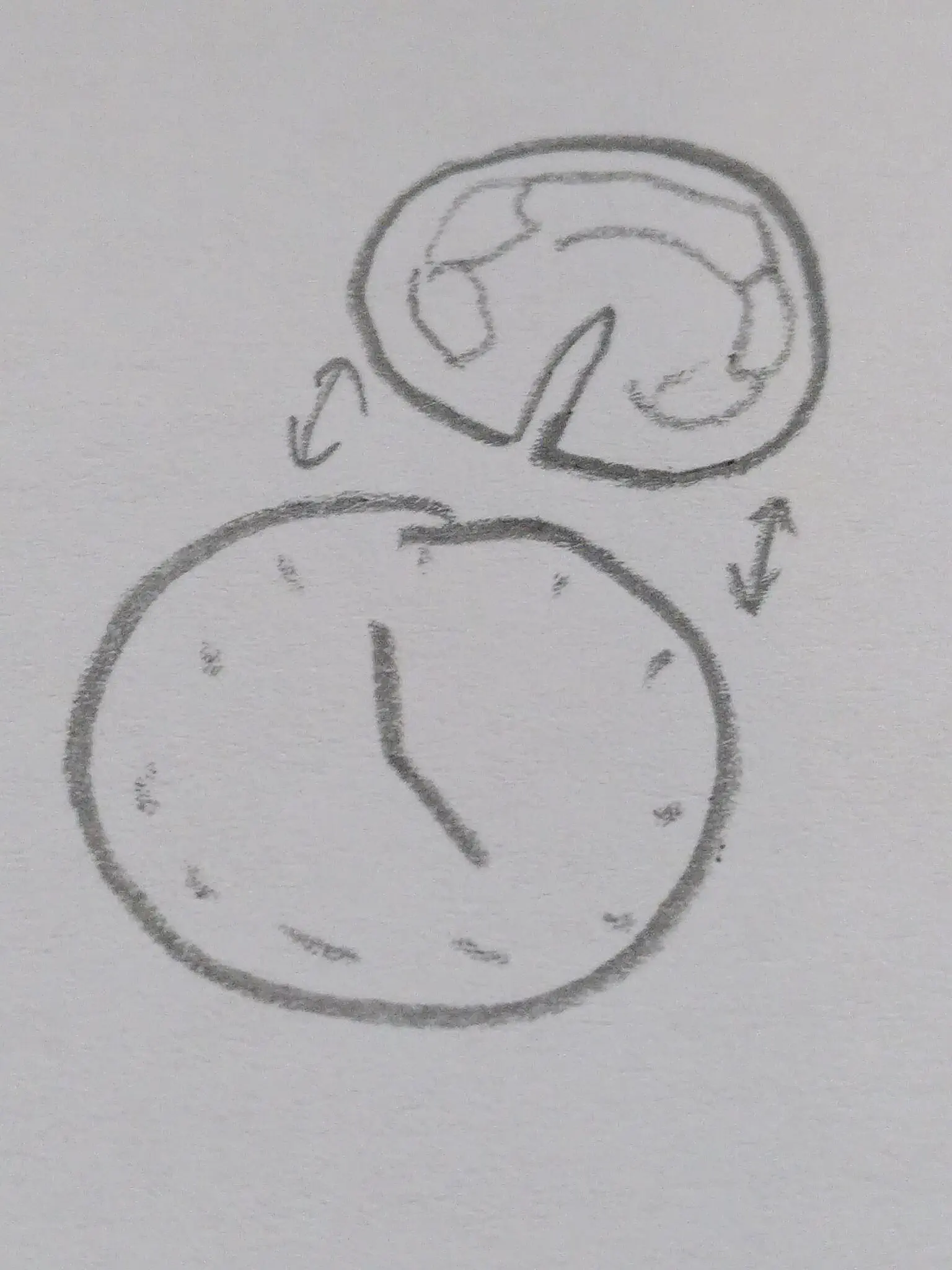 Drawing of a clock with a detachable face
