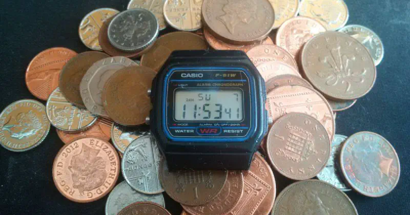 Casio F-91W watch